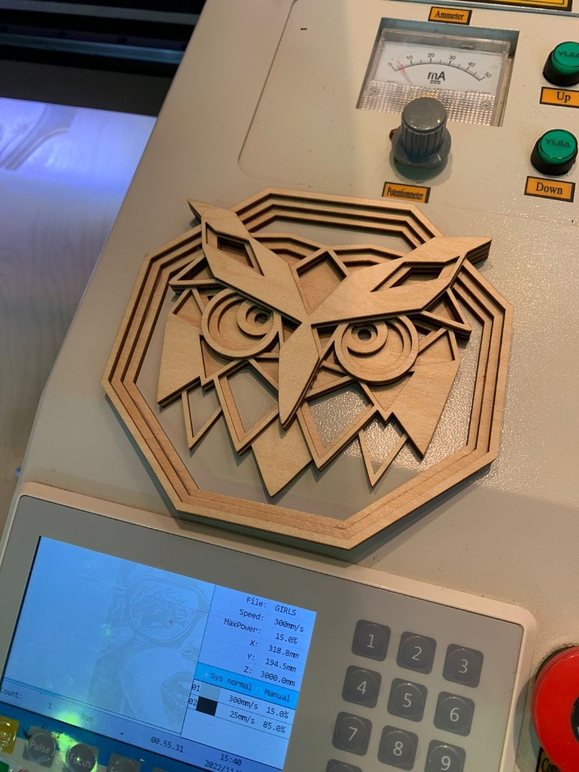 Laser engraving machine for wood — Virmer